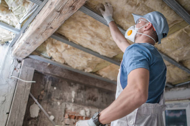 Best Crawl Space Insulation  in Campbellsport, WI