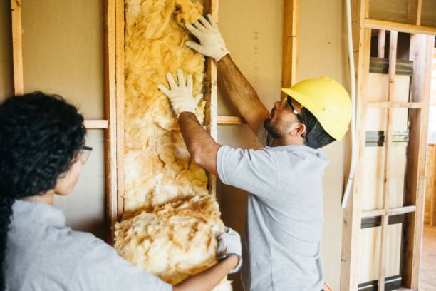 Best Insulation Replacement Services  in Campbellsport, WI